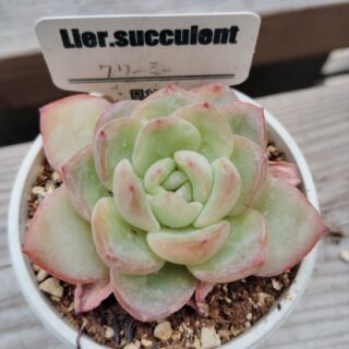 img_20240427_12545973664757702